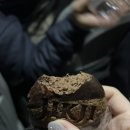 직지로스터스