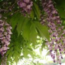 고기연구소 이미지