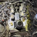 로고스카센타 이미지