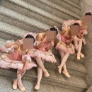 아트스테이무용학원 이미지