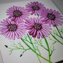 아크릴화[야간] 이미지