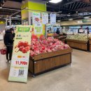 도계농협농산물산지유통센터 | 하나로마트 동탄유통센터 장보기 추천 제철 봄 과일 종류 및 최신 가격 정보 정리