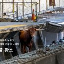주선로 이미지