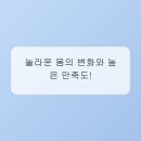 필라테스 유목민의 정착템, 보니따필라테스 상남점 리얼 후기