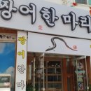 짱어한마리 이미지