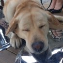 카페이스터에그 이미지