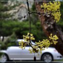 제이그랜드 이미지