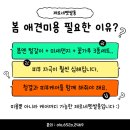 두꺼비로78번길(3-234) | 산남동 애견미용 제로네펫쌀롱 비숑 말티푸 미용 후기