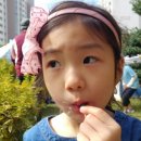 동막초등학교 이미지