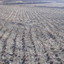 영천농장축사 이미지