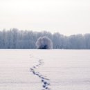 등대당구장 이미지