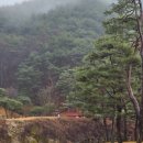 카이로스 민박 이미지