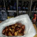 코끼리셀프세차타운 이미지