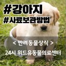 24시 위드유 동물의료센터 이미지