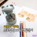 연필통 | 프로살림 자동 전동 연필깎이 솔직 후기, 초등학생 어린이집 생일선물로 강추!