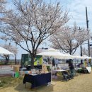 폴리곤 | 경주 형산강 벚꽃 플리마켓｜르씨엘 카페 &amp; 폴리곤 우드각인 굿즈 체험 후기