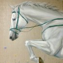 말박물관 이미지