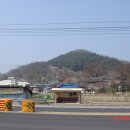 장룡