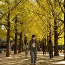 다복향마라탕 평촌점 | 2021.10