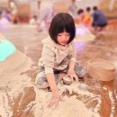 어린이 체험전 「가루나무모래흙」 | 서울 어린이 이색 체험 전시 추천 이영란의 감성체험 가루나무모래흙