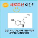 운동의 계절 이미지