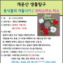 12.1(일)개운산 생물탐구(동식물의 겨울나기, LED크리스마스리스)_오전10시30분_가족대상 이미지