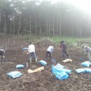 버들골농장 이미지