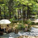 꽃향기정원 이미지