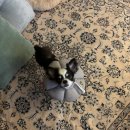 월곡반월로 이미지