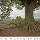 진주 정촌면 백악기 공룡ㆍ익룡발자국 화석산지 이미지