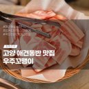 우주꼬맹이 | 서울근교 애견동반맛집 우주꼬맹이 진짜 맛있는 애견동반식당 내돈내산 솔직후기