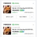 내일스토어 | 네이버 스토어 내일 배송ㅣ호박고구마 아이 겨울방학 간식 추천