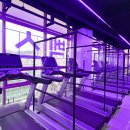 벡스 휘트니스 이미지