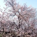 이백일호 - 부천시 원미구 | 이백일호