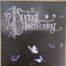 (서울예술 대학교)Spring Awakening( 스프링 어웨이크닝) 뮤지컬 관람 후기