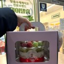 과일점 | 안성케이크 찐 맛집 ‘제이델링’ 과일 폭탄 케이크 솔직 후기