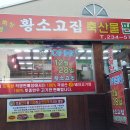 황소고집 이미지