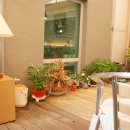 코야커피 이미지