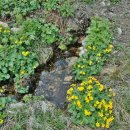 칡소폭포 이미지