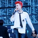 빨간머리 이미지