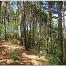 매봉산4 이미지