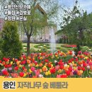 마감. 5월1일 용인 신상 카페에서 산책해요. 나이제한 없습니다.(50대 60대 환영합니다.) 이미지