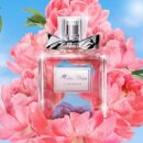 [25-3] 리코더 첫걸음 (특강) | 🎨 일산일러스트학원 - 일러스트레이터로 나아가는 첫걸음 !