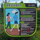 안양천 다목적광장 | 금천구 안양천 다목적광장 황톳길(맨발 걷기 길) 산책