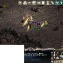 단정하개 이미지