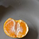 소연농장 | 소연이네 감귤 혼합과