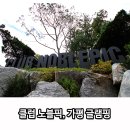 클럽노블픽 이미지
