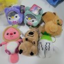 보물찾기 뽑기방 이미지