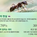 개미 이미지