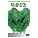 씨앗